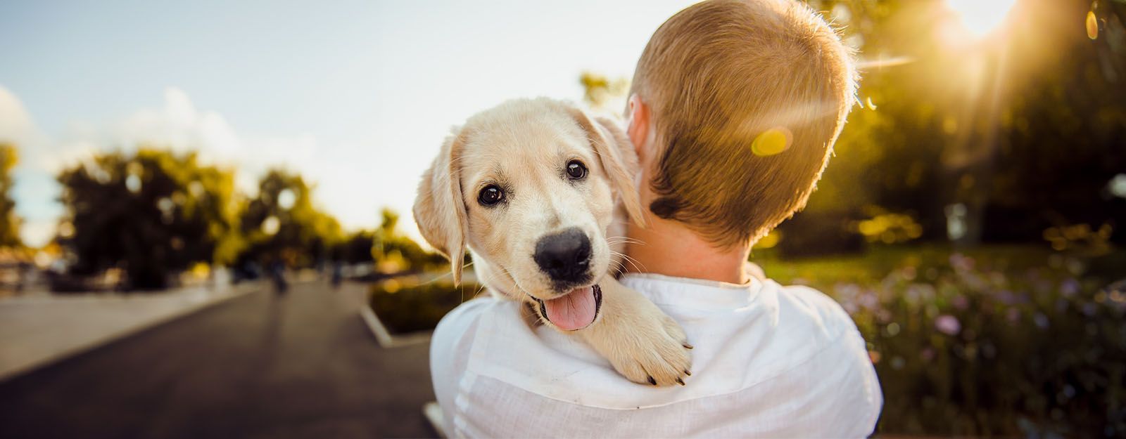 Photo of person walking away with dog over shoulder which is looking at the camera.