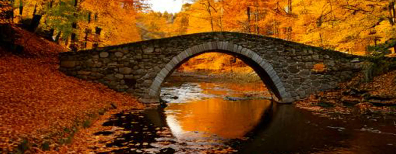 Ai generated stone bridge in a Fall setting.