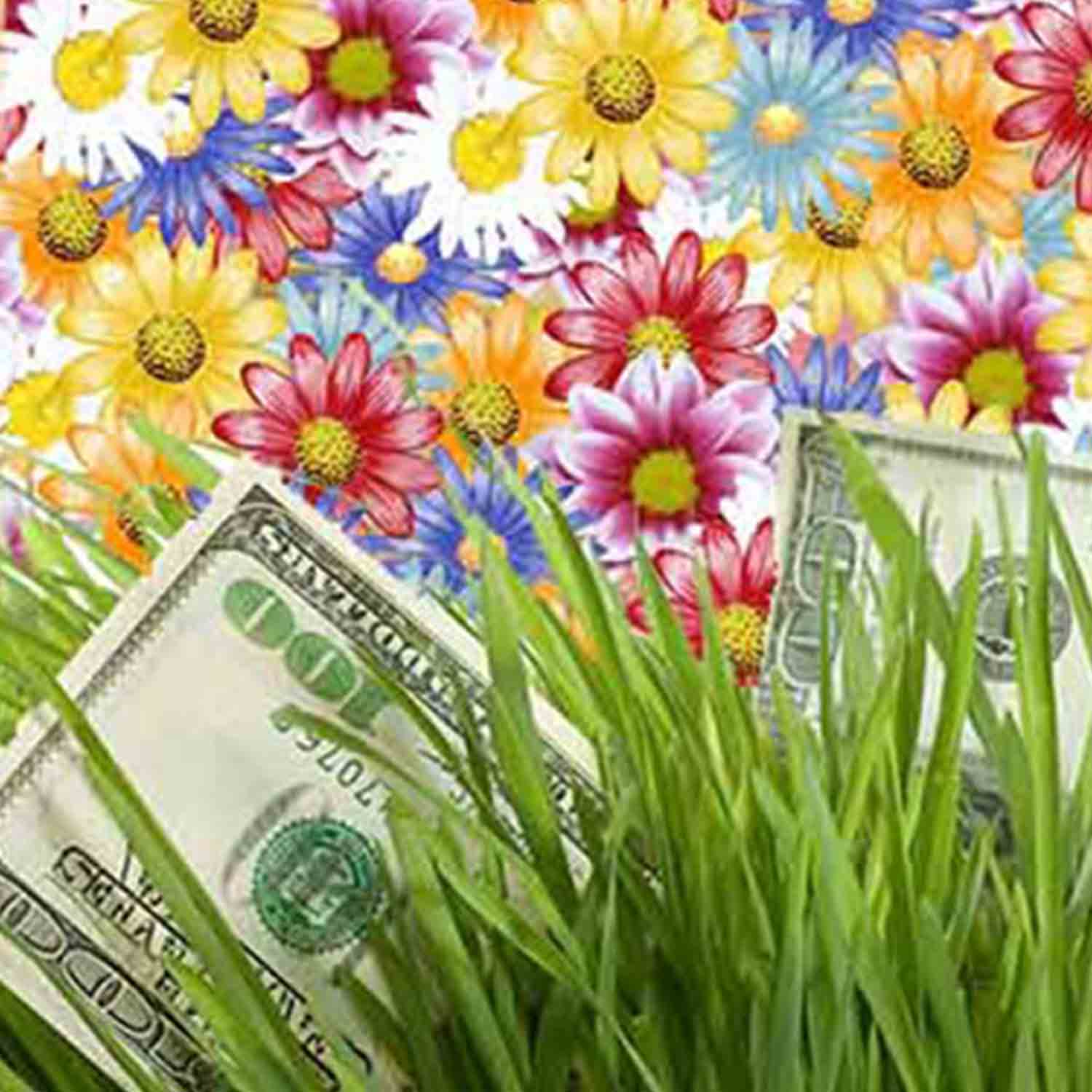 Graphic of 100 dollar bills showing through tall grass with a collage of colorful daises in the background.