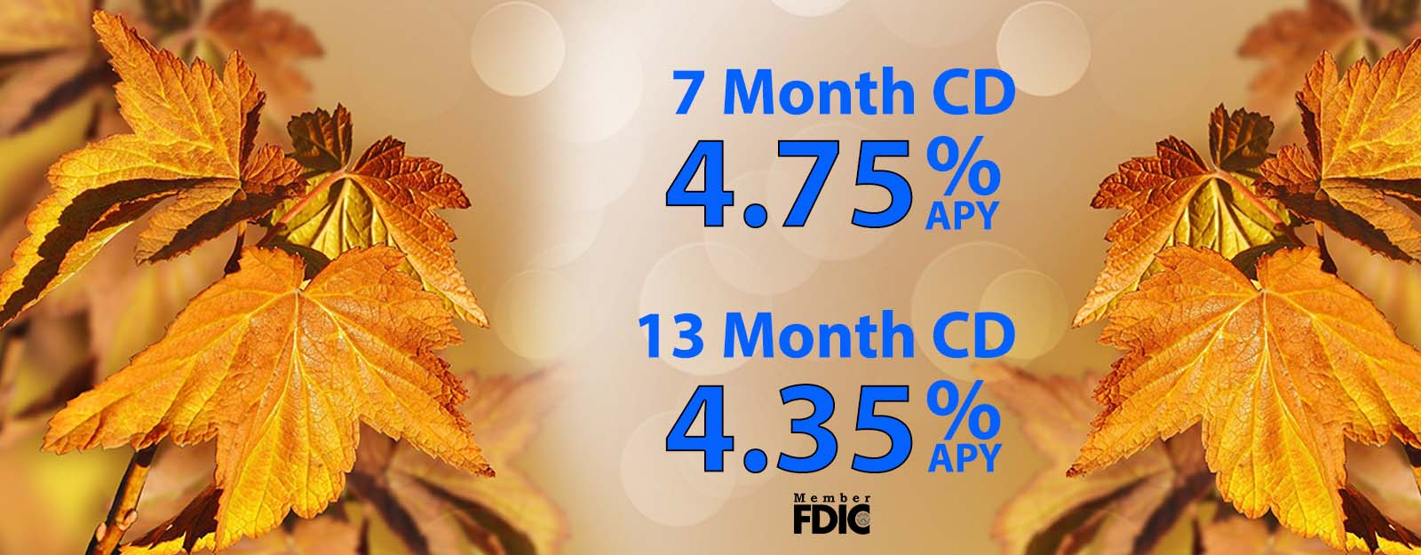 7 month cd special 4.75% apy, 13 month cd special 4.35% apy shown on fall leaf background.